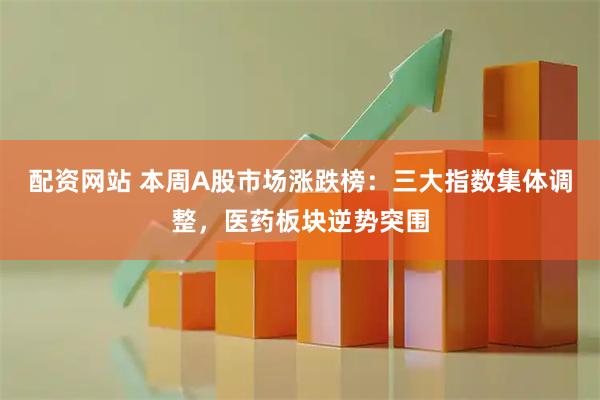 配资网站 本周A股市场涨跌榜：三大指数集体调整，医药板块逆势突围